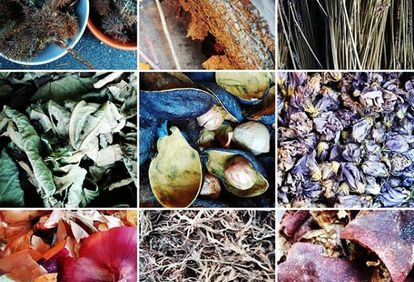 Natural dyes collected from nature